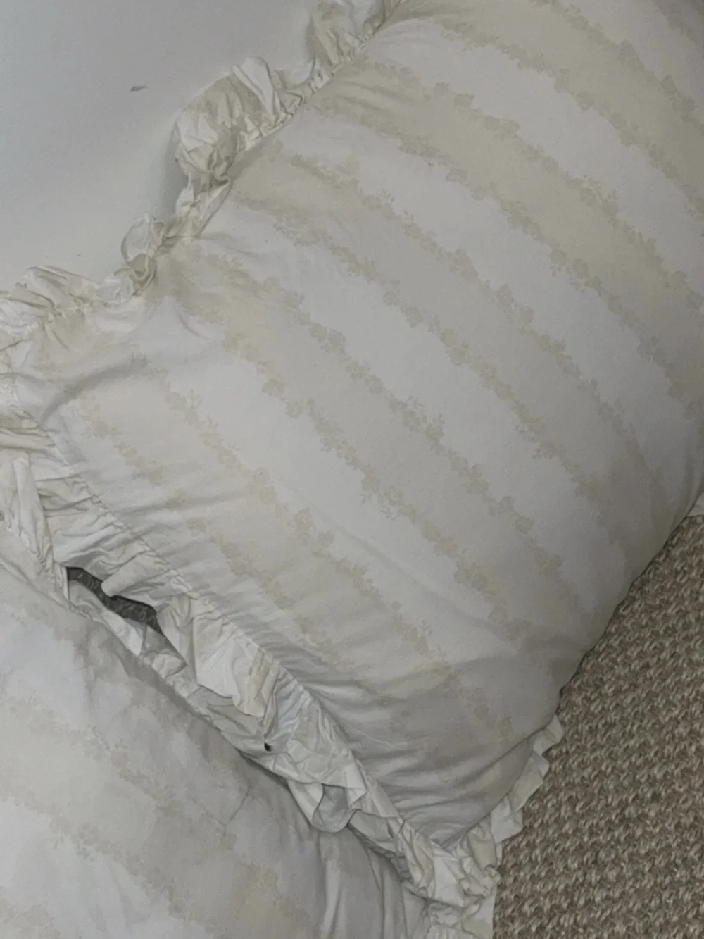 Simply Shabby Chic Rachel Ashwell Grace 2 Ruffled Shams Pristine Vintage Rare